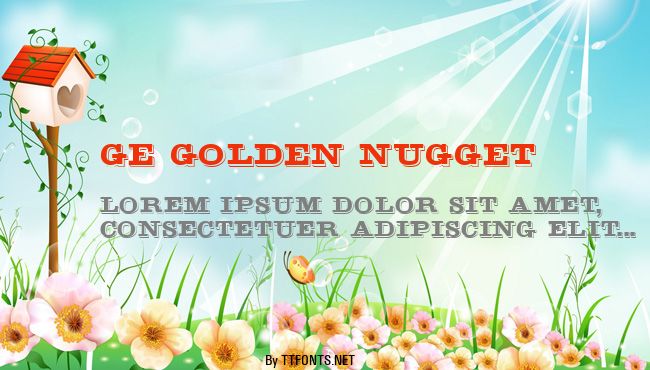 GE Golden Nugget example